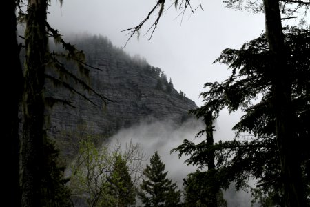 Avalanche Lake Hike