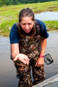 Nekton Sampling - photo