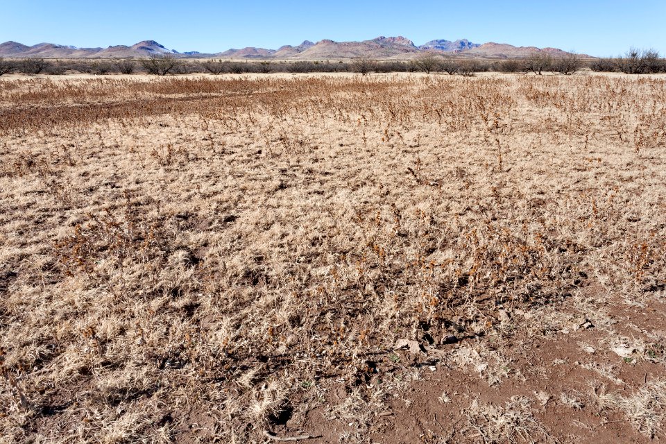 West edge of Lordsburg Playa