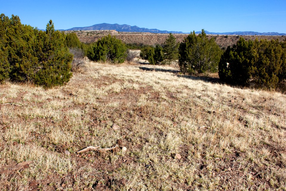 Vigil Canyon