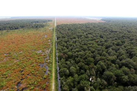 Day 5 - Great Dismal Swamp, VA - Hurricane Sandy Aerial Tour