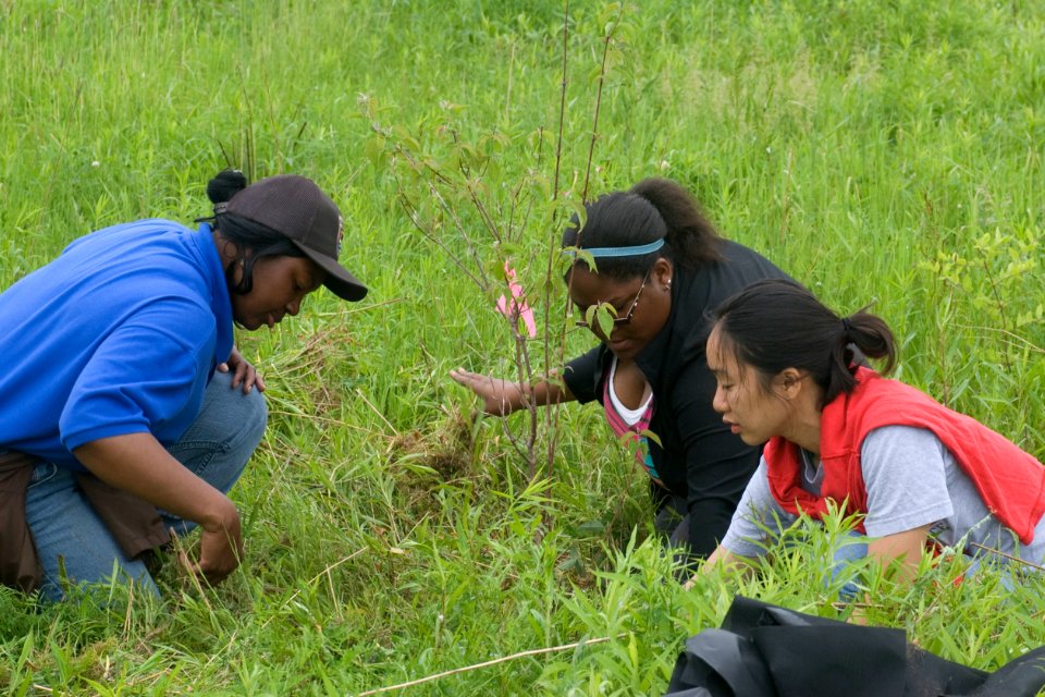 Service employee and students planting trees