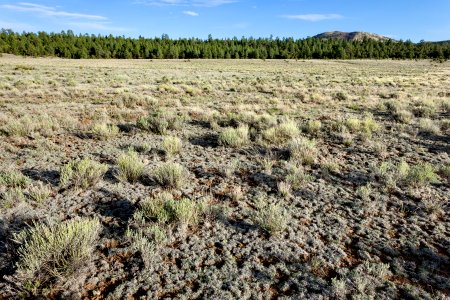 Continental Divide Trail