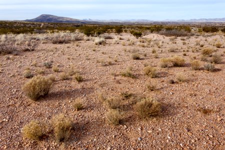 Southwest of Redrock
