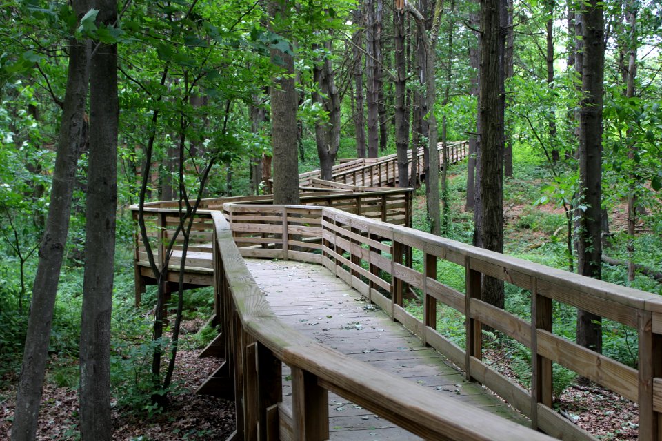 The Fort River Birding and Nature Trail in Hadley, Massachusetts
