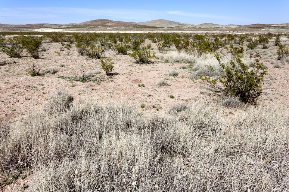 Southeastern Cedar Mountains
