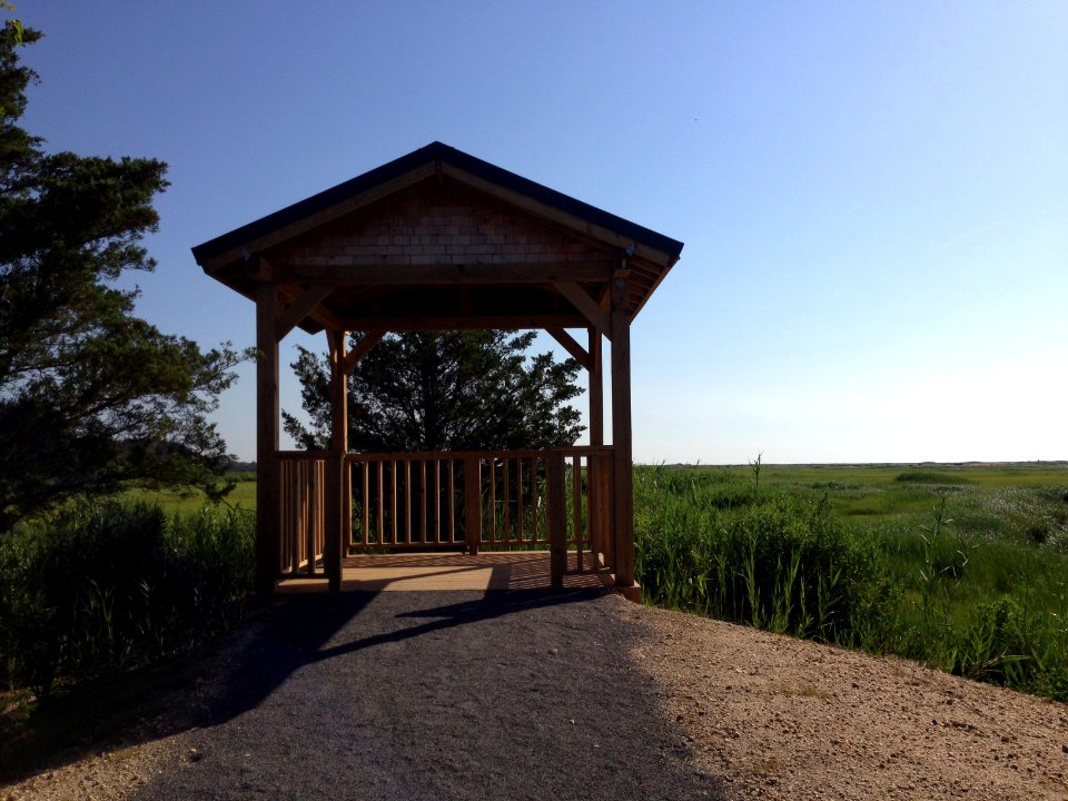 Forsythe wildlife drive after hurricane repairs