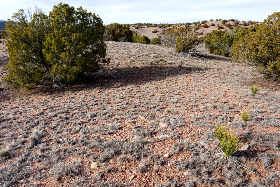 East-northeast of Twin Hills