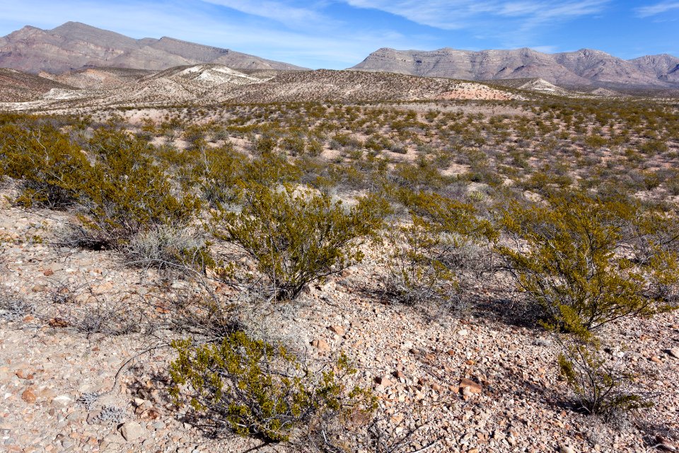 Near Apache Canyon