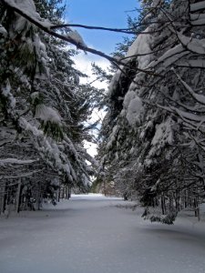 Winter at Moosehorn photo