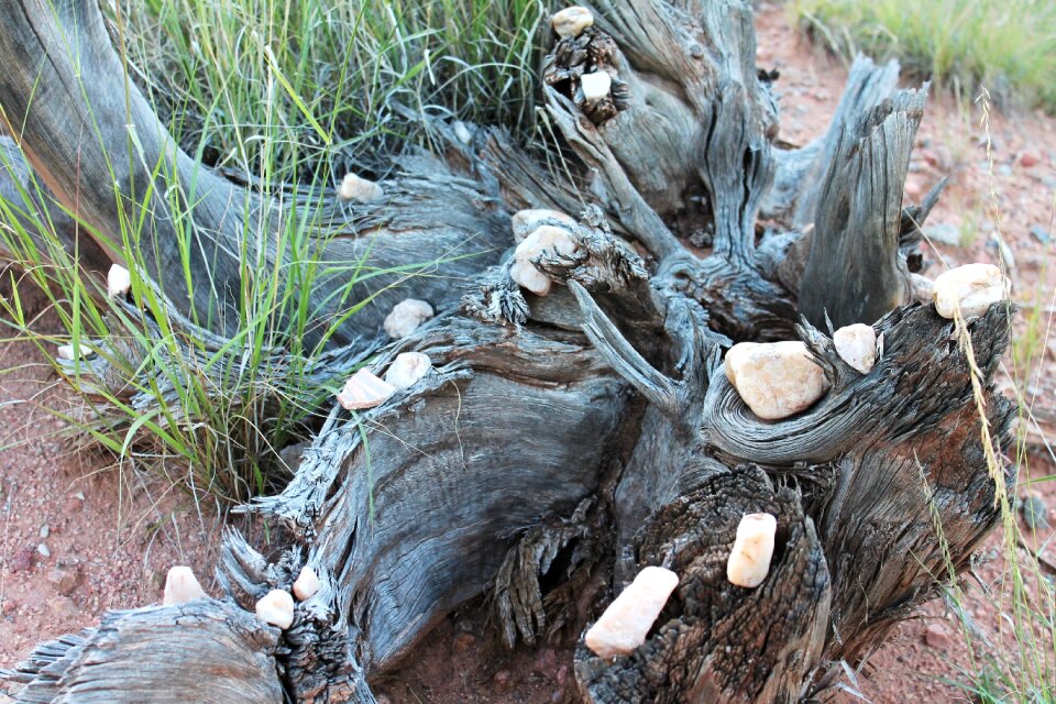 Shamanic altar environmental harmony