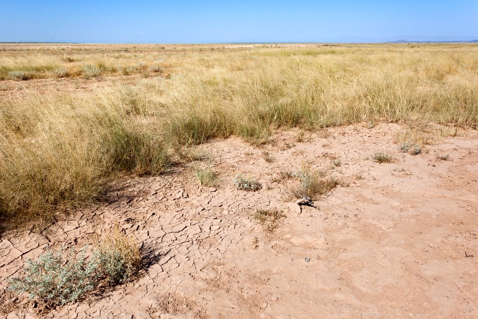 Western margins of Lordsburg Playa