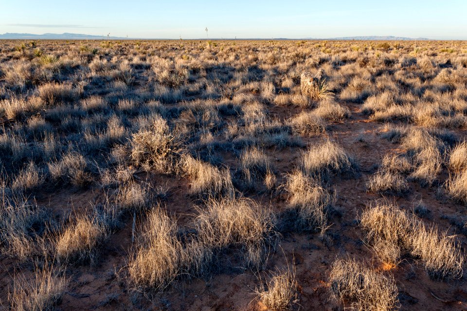 Jornada del Muerto Plain