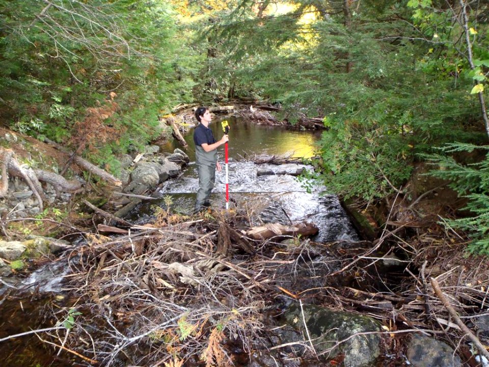 Fish passage project