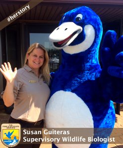 Susan Guiteras