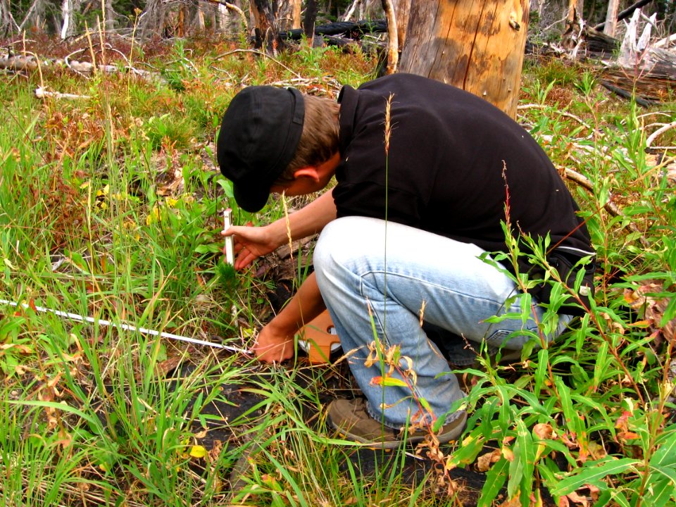 Monitoring vegetation in a recent burn