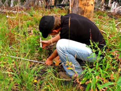 Monitoring vegetation in a recent burn