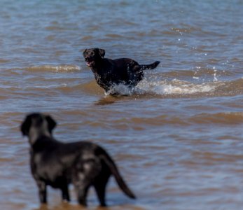 20170828 OldHunstantonBeach 0148