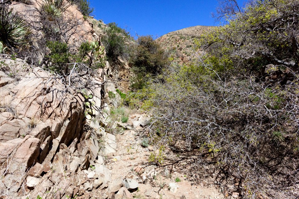 Southwestern Cookes Range