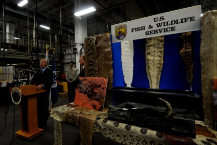 Secretary Salazar giving his speech photo