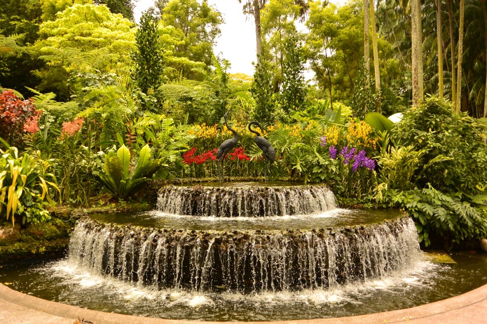 Singapore botanical garden fountain