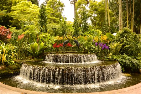 Singapore botanical garden fountain photo