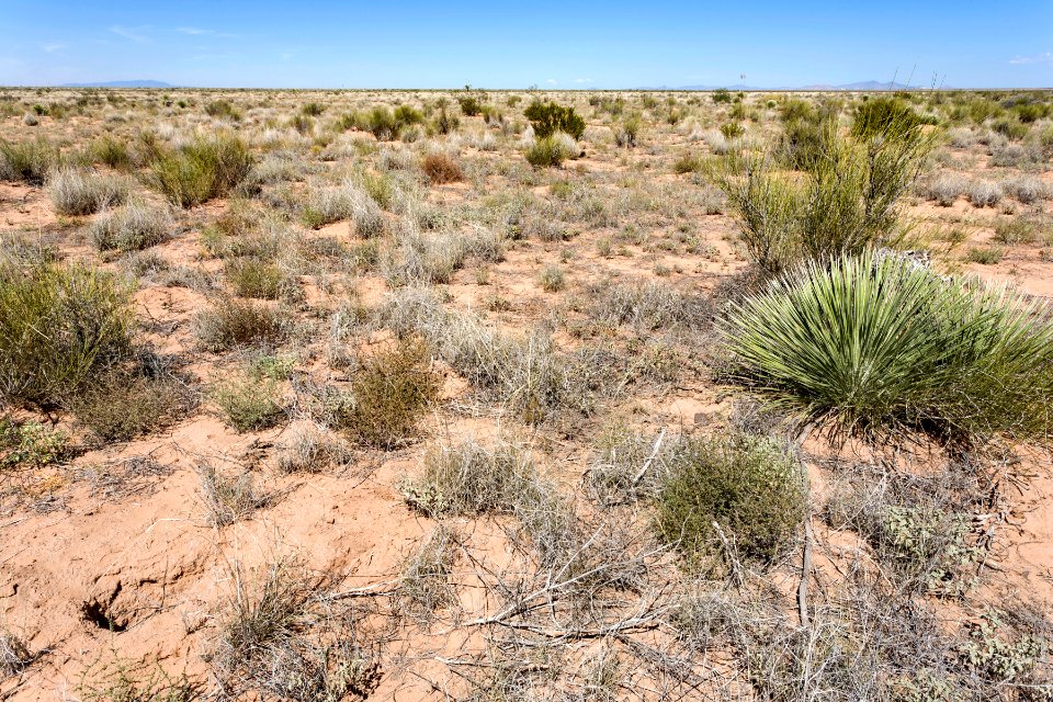 Near Goat Ridge