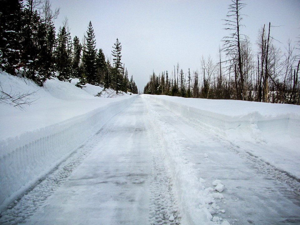 PLOWING-TWOMED-APRIL2018-0674