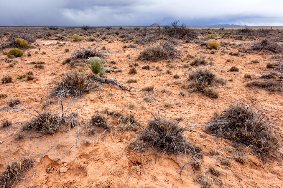 Northeast of Twin Buttes