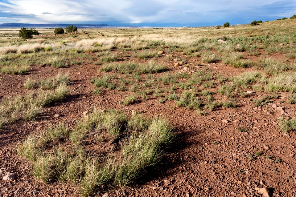 Near Arroyo Lucero