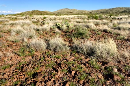 Near Slick Rock Wash