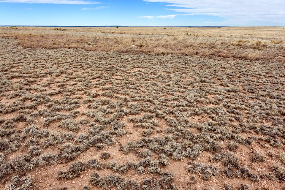 Near Hackberry Draw