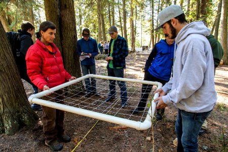 Fish Creek Planting and Monitoring Project 2016 (2)