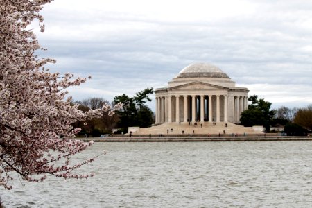 CherryBlossomDC2019-15.jpg