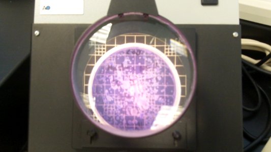 Water Analysis Under Magnifier