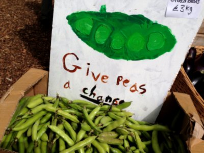 Give peas a chance photo