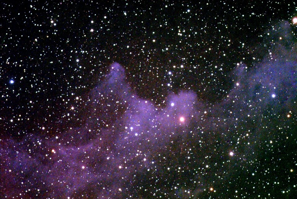 Constellation orion astronomy