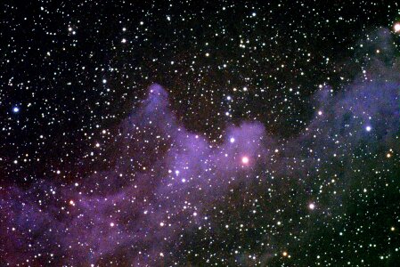 Constellation orion astronomy photo