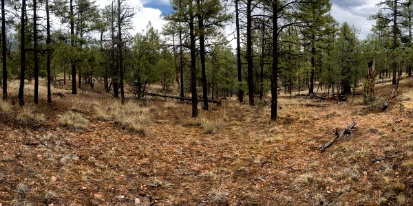 Continental Divide Trail