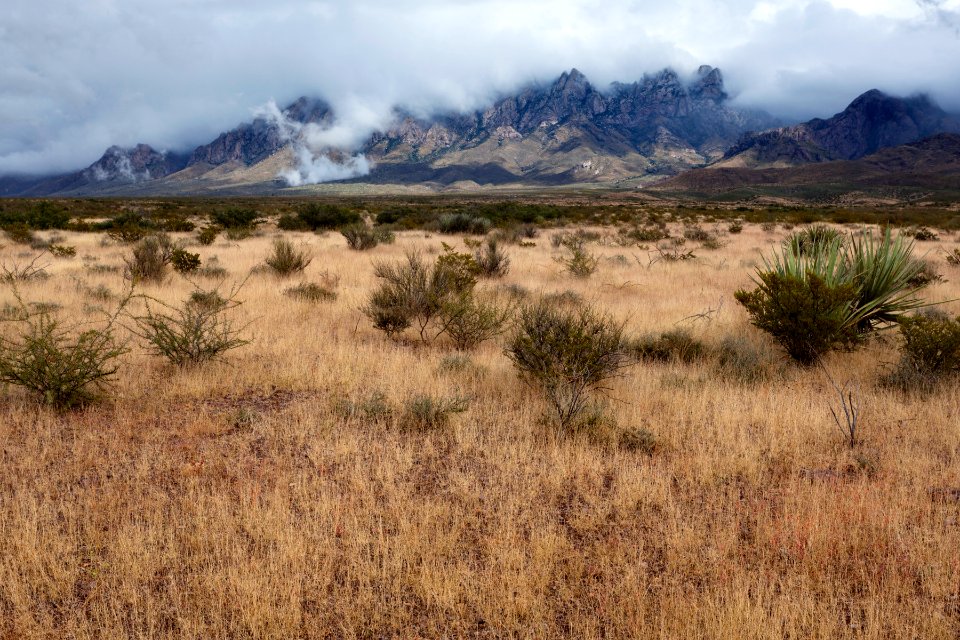 West bajada of the Organ Mountains