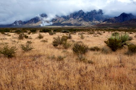 West bajada of the Organ Mountains