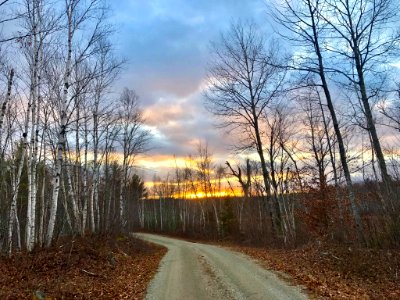 Sunset along the Vose Pond Auto Tour Road, Moosehorn National Wildlife Refuge
