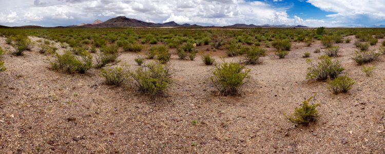 Near Fourmile Hill