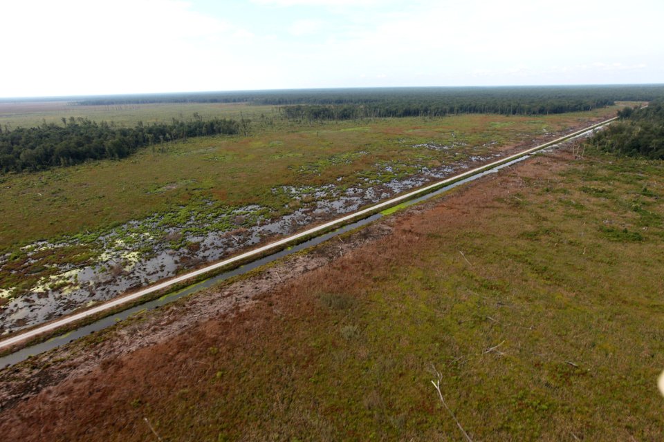 Day 5 - Great Dismal Swamp, VA - Hurricane Sandy Aerial Tour