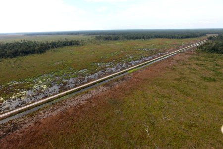 Day 5 - Great Dismal Swamp, VA - Hurricane Sandy Aerial Tour