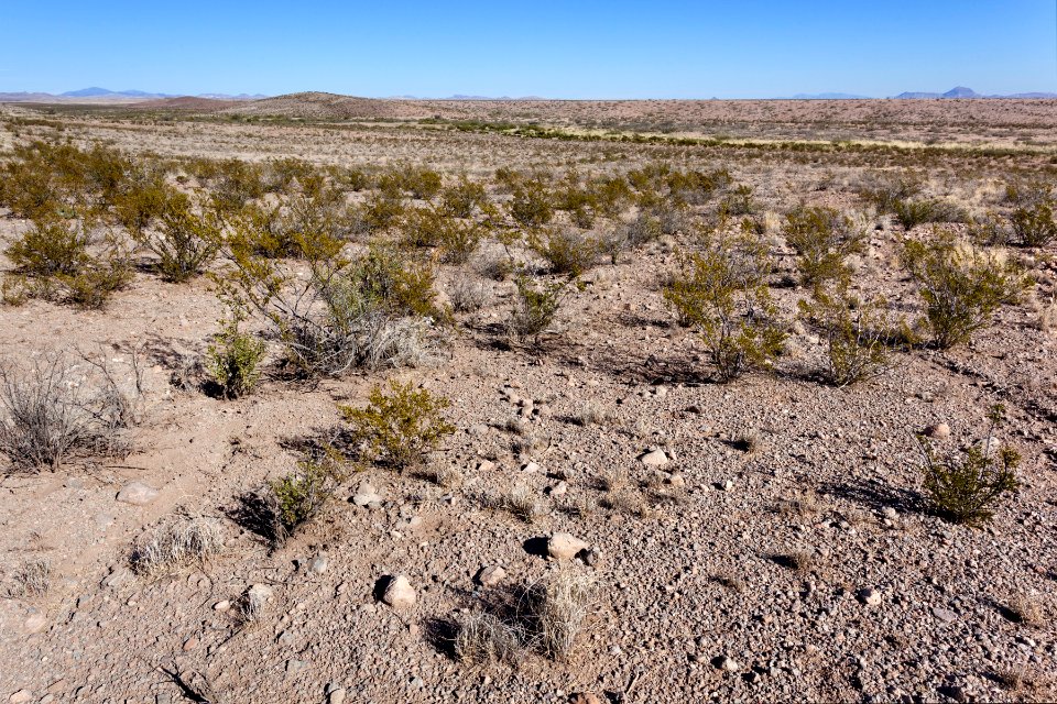 Near Fort Cummings