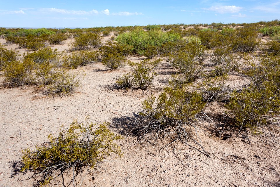 East-northeast of Vado