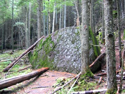 Large boulders along the Avalanche Lake Trail