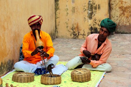 Music snake charmer jaipur