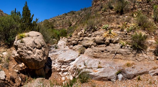 Rock Waterhole Canyon